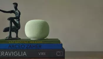 Google позволяет