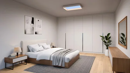Philips Skylight