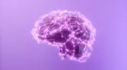 OpenAI и спор об уравнения́х Навье — Стокса